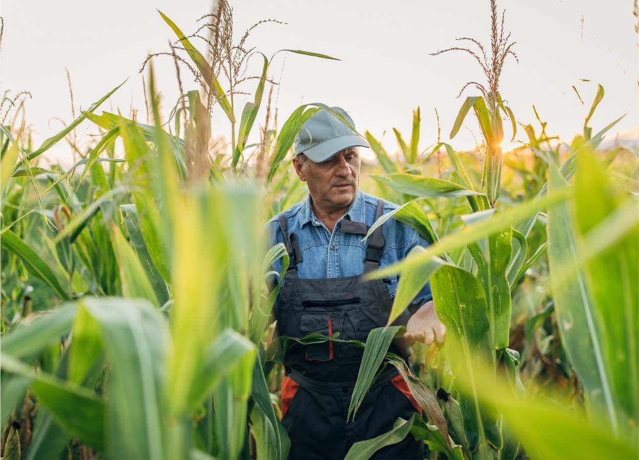 Mudanças climáticas preocupam 86% dos produtores, diz ABMRA