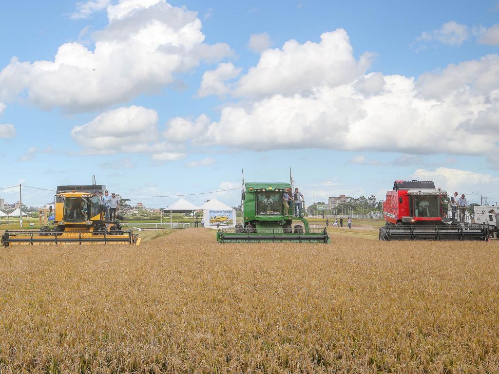 Empresas do setor prestigiam Abertura Oficial da Colheita do Arroz