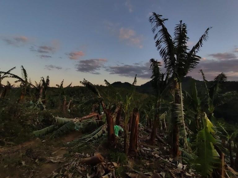 CMN aprova medidas para agricultores prejudicados por ciclone e pela pandemia de Covid-19