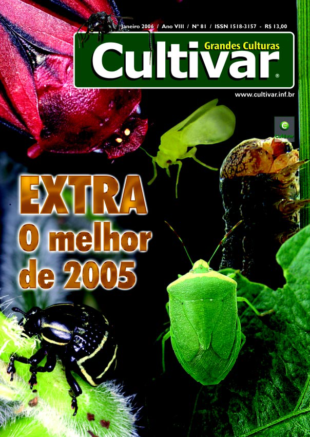 Extra: o melhor de 2005