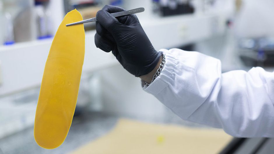 Resultados destacam o papel da nanoestrutura do revestimento em aumentar a eficiência do uso de nutrientes e minimizar as perdas ambientais; foto: Pedro Octávio