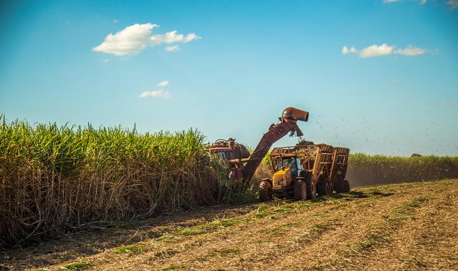 Nufarm lança novidade no Encontro sobre Variedades de Cana-de-Açúcar