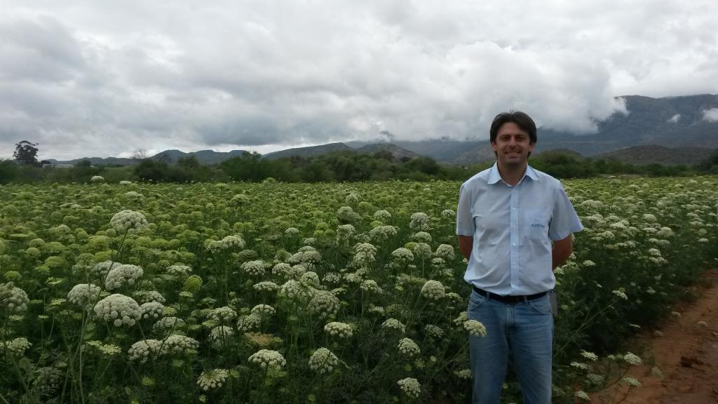 Unidade de Pesquisa em Minas Gerais é estratégica para o desenvolvimento de variedades de hortaliças tropicais