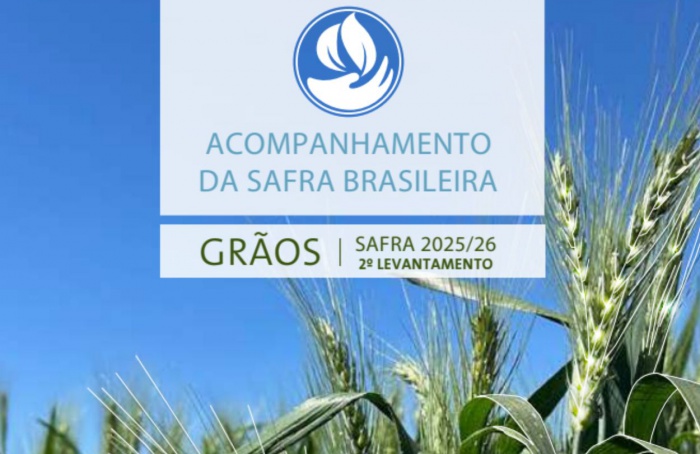 Conab projeta safra de grãos 25/26 em 354,8 milhões de toneladas