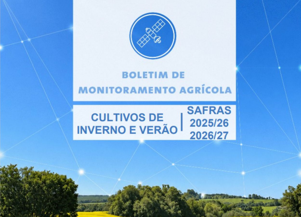 Chuvas favorecem plantio da safra 2026/27 em diferentes regiões