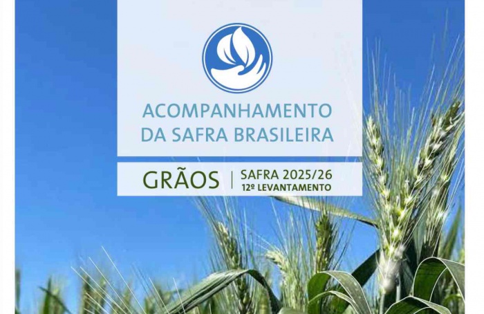Conab eleva safra 2025/26 a 361,7 milhões de toneladas
