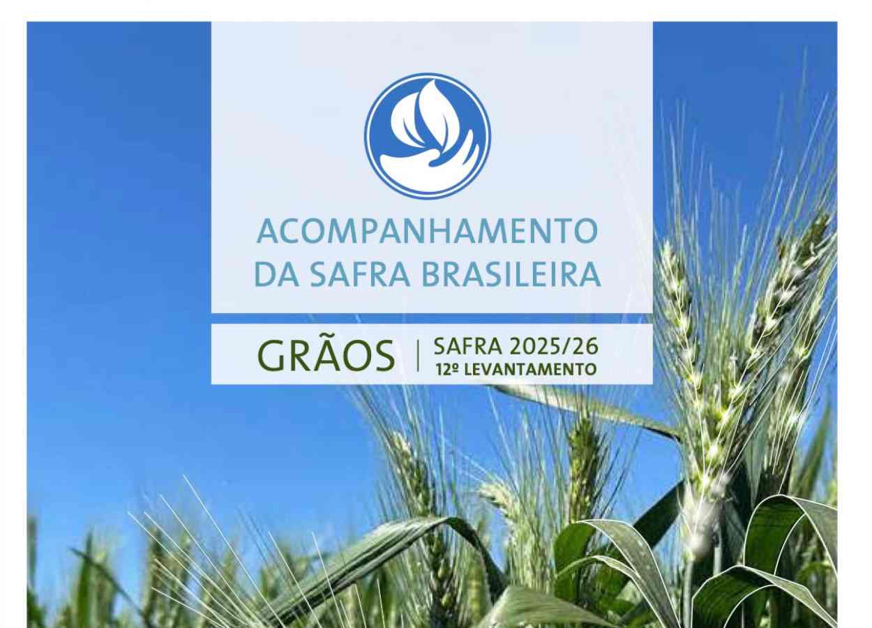 Conab eleva safra 2025/26 a 361,7 milhões de toneladas