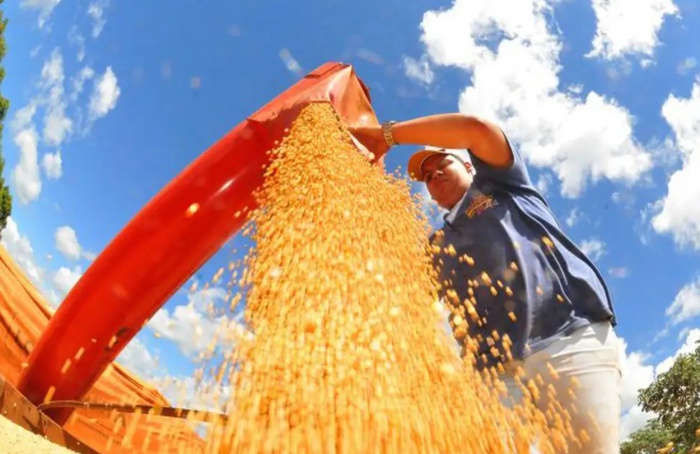 Agro ajudou oito estados a crescerem mais que o Brasil em 2023