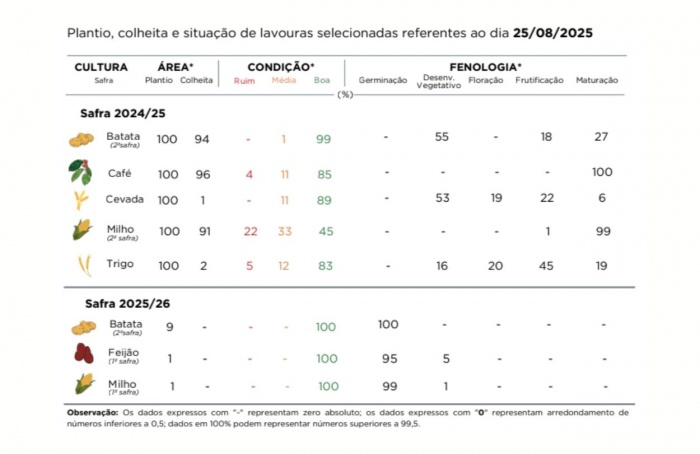 PR Safra 2025/26: campo já registra primeiros plantios