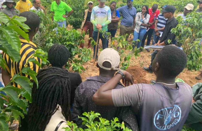 Cooperação Brasil–Moçambique impulsiona produção de café