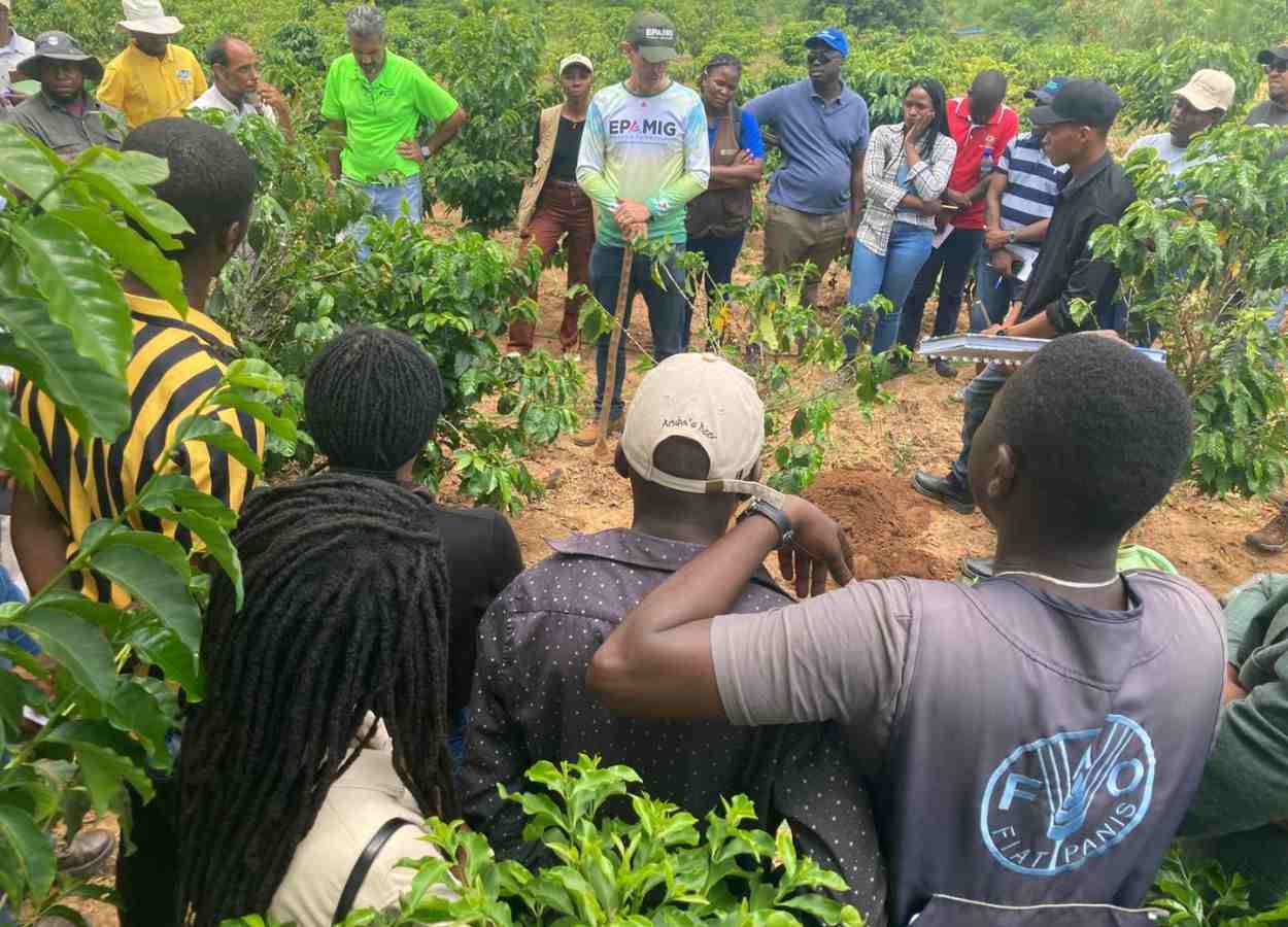 Cooperação Brasil–Moçambique impulsiona produção de café