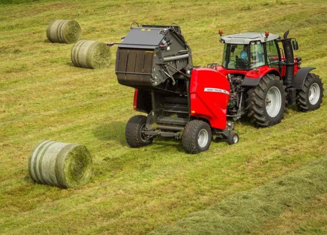 Produção de feno cresce como investimento estratégico