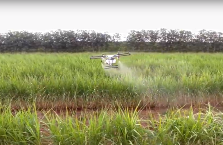 Coopercitrus usa drones para pulverização de lavouras