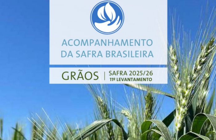 Safra 2025/26 deve alcançar 360,8 milhões de toneladas