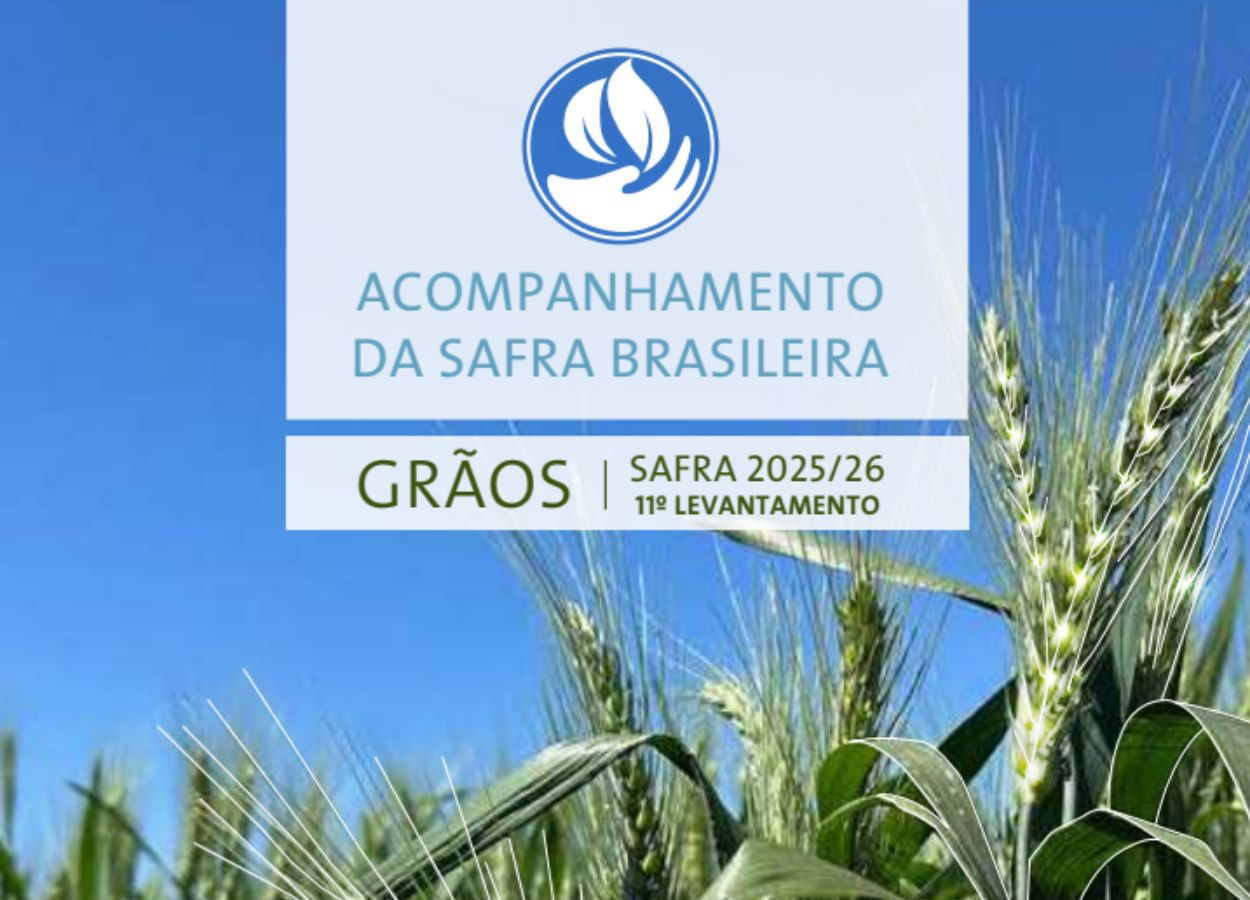 Conab estima alta de 2,4% na produção de grãos, com destaque para soja, milho e sorgo