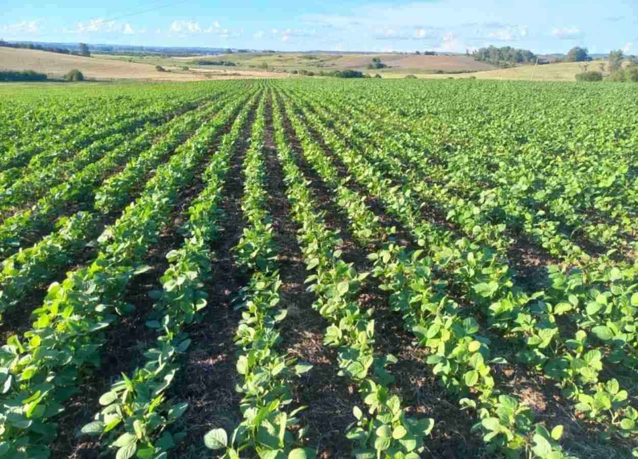 Previsão indica tempo estável no RS no final de semana