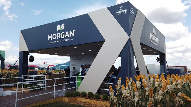 Morgan lança plataforma e híbridos de milho no Show Rural