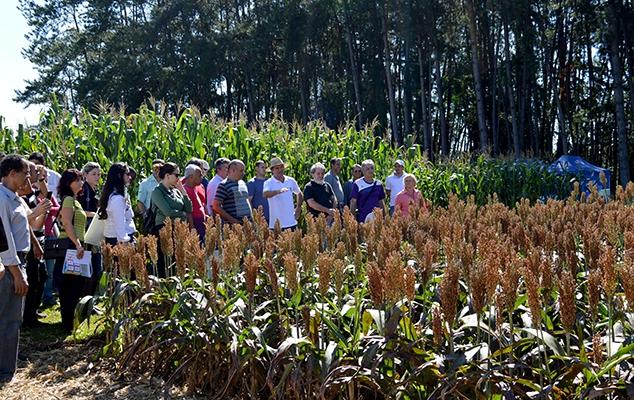 Semana de Integração Tecnológica acontece de 16 a 20 de maio