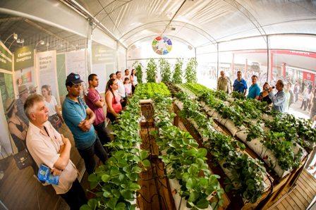 “Juntos para Competir” apresenta técnicas de cultivo em estufas na Festa da Uva 2016