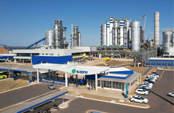 Suzano abre inscrições para Programa de Estágio Superior