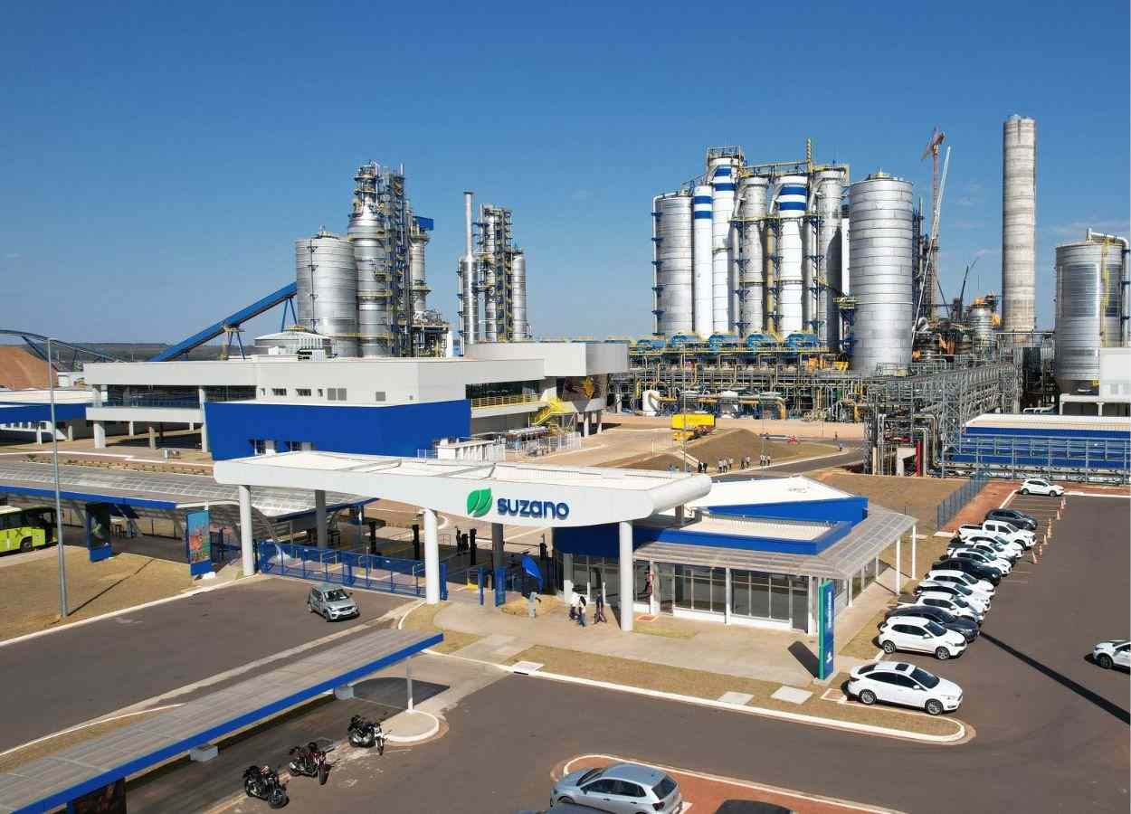 Suzano abre inscrições para Programa de Estágio Superior