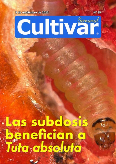 Cultivar Semanal 55