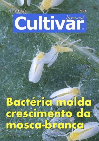 Cultivar Semanal 38