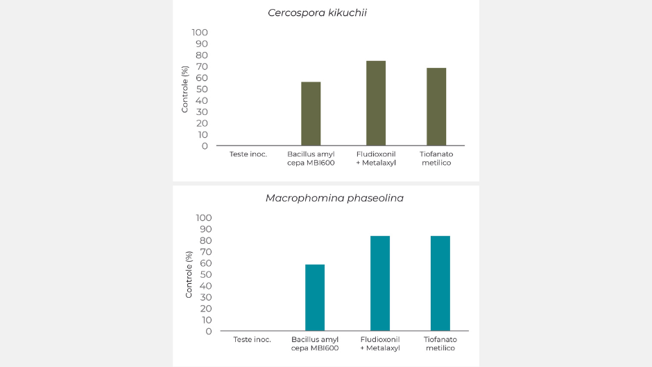 Figuras 2: eficiência de controle de Bacillus amyloliquefaciens sobre patógenos via tratamento de sementes em soja