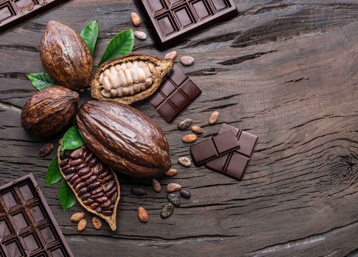 可可市场出现研磨量下降和市场地位调整——《栽培杂志》