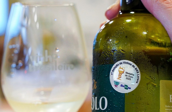 Inscrições para Seleção de Vinhos BRS Lorena são prorrogadas