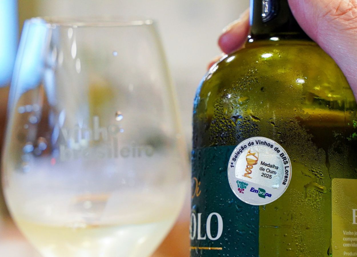 Inscrições para Seleção de Vinhos BRS Lorena são prorrogadas
