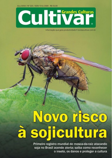 Cultivar Grandes Culturas 325