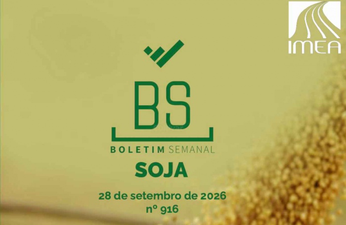 MT Safra 2026/27: soja avança com cautela