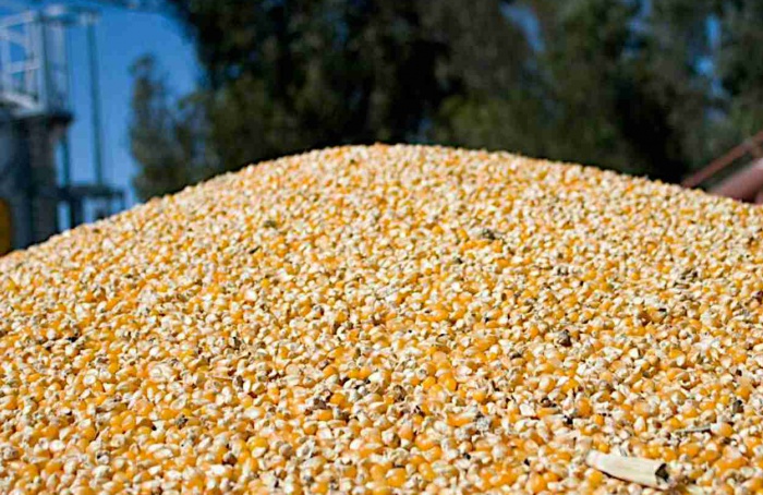 Exportações agroindustriais da Argentina sobem 6% até julho
