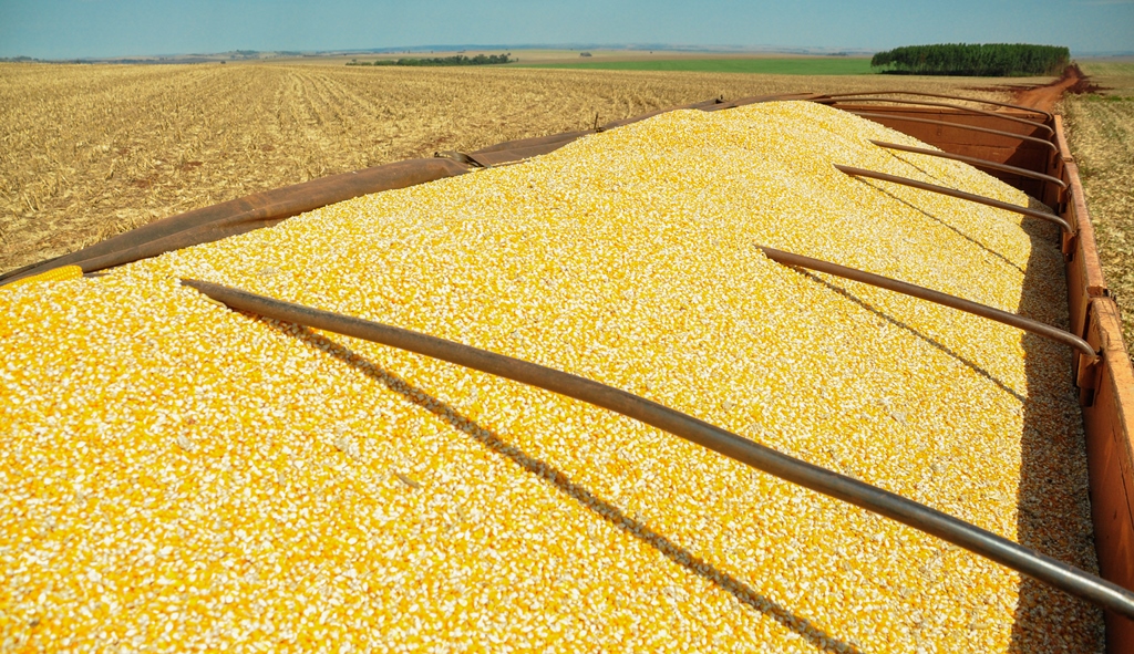 Rentabilidade no foco da indústria de etanol de milho