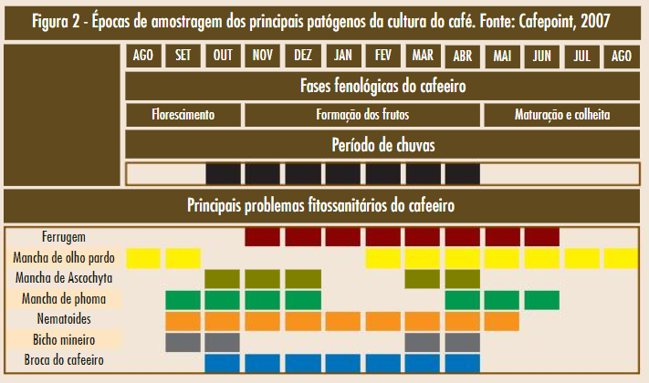 Figura 2 -  Épocas de amostragem dos principais patógenos da cultura do café.  Fonte: Cafepoint, 2007.
