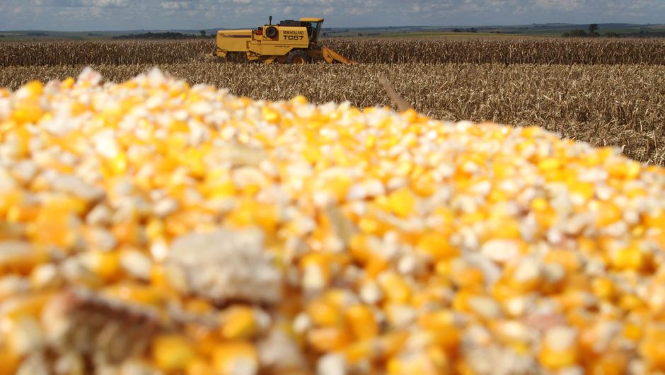 Foto: Jonas Oliveira