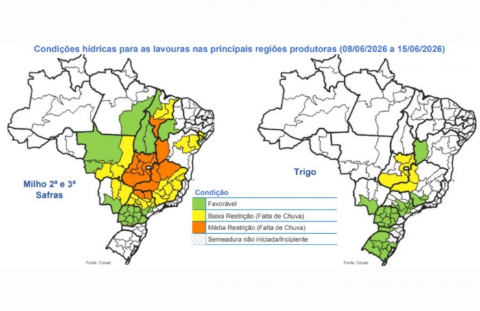 Conab aponta avanço da colheita do milho no país
