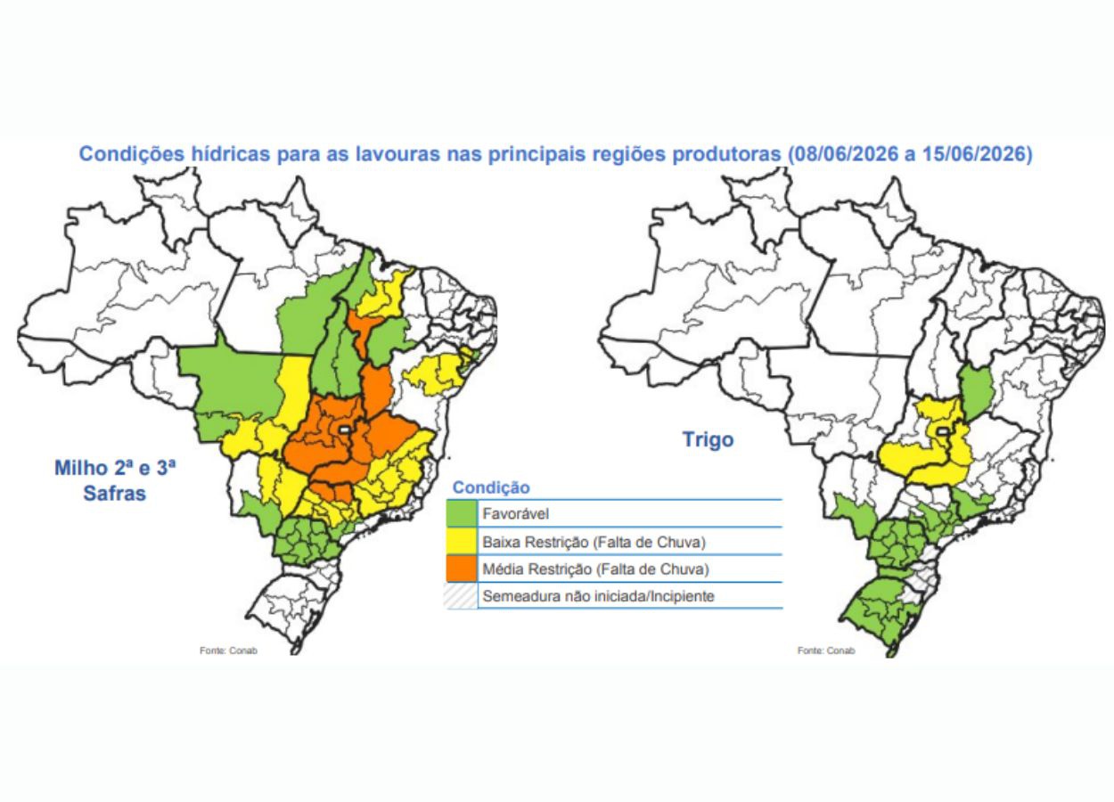Conab aponta avanço da colheita do milho no país