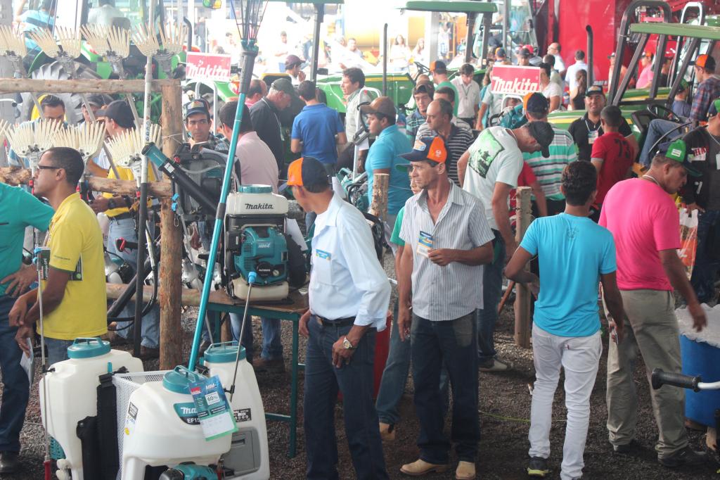 Cafeicultores de MG se unem para melhorar produção e ganhar competitividade
