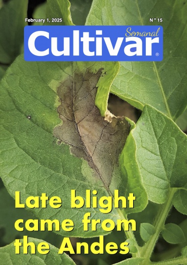 Cultivar Semanal 15