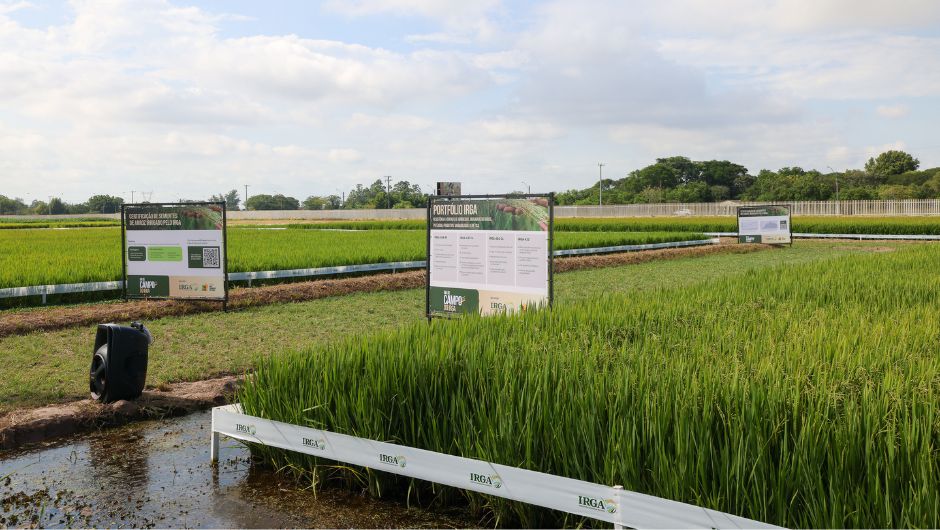 Foto: João Pedro Rodrigues