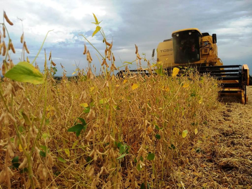 Colheita da soja atinge 58% da área cultivada no RS