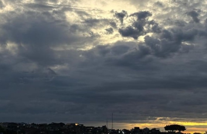 Frio recorde em São Paulo preocupa setor agropecuário