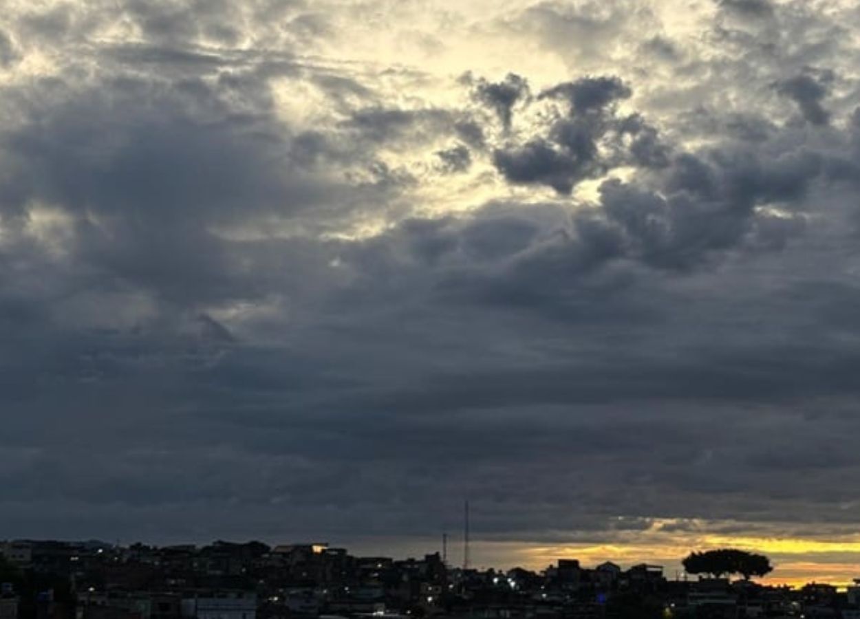 Un froid record à São Paulo inquiète le secteur agricole