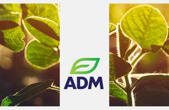 ADM anuncia resultados financeiros do segundo trimestre de 2025