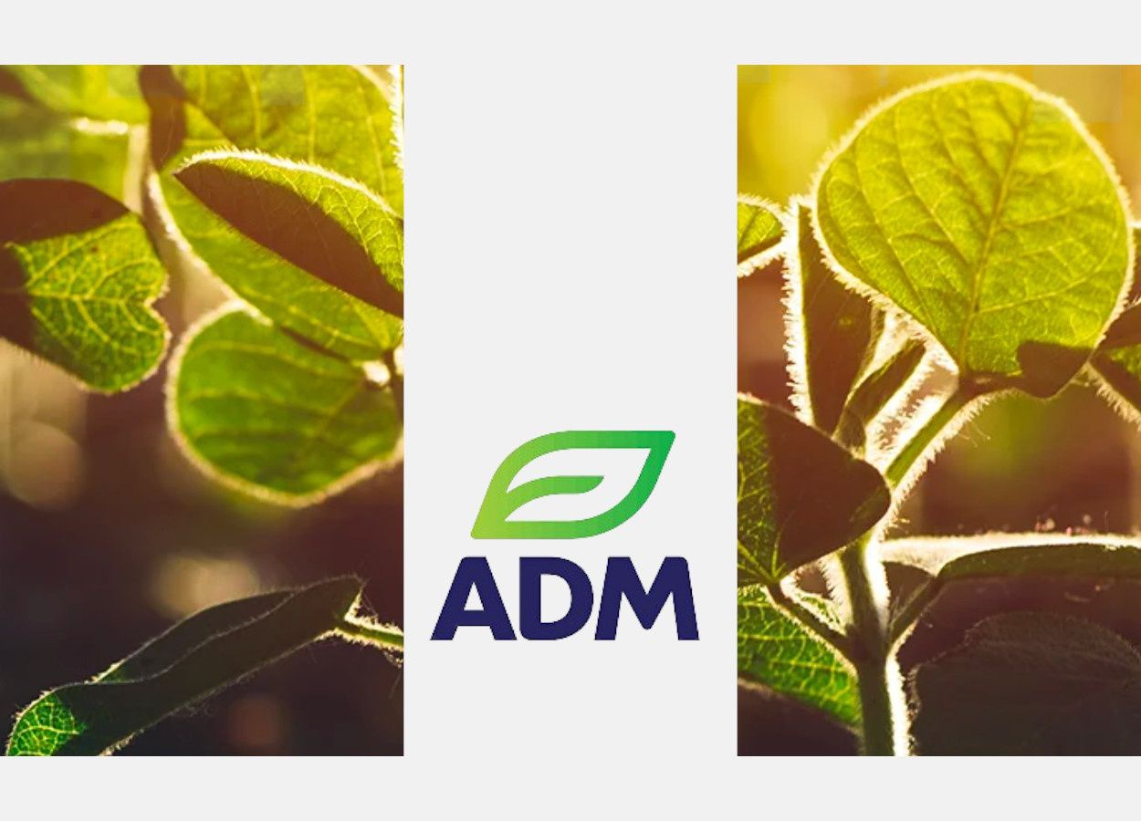 ADM anuncia resultados financeiros do segundo trimestre de 2025