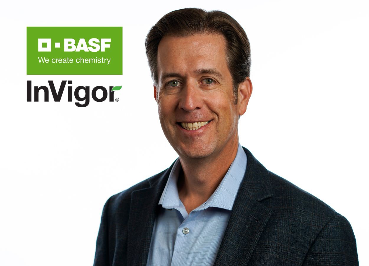 BASF lança variedade de canola na América do Norte