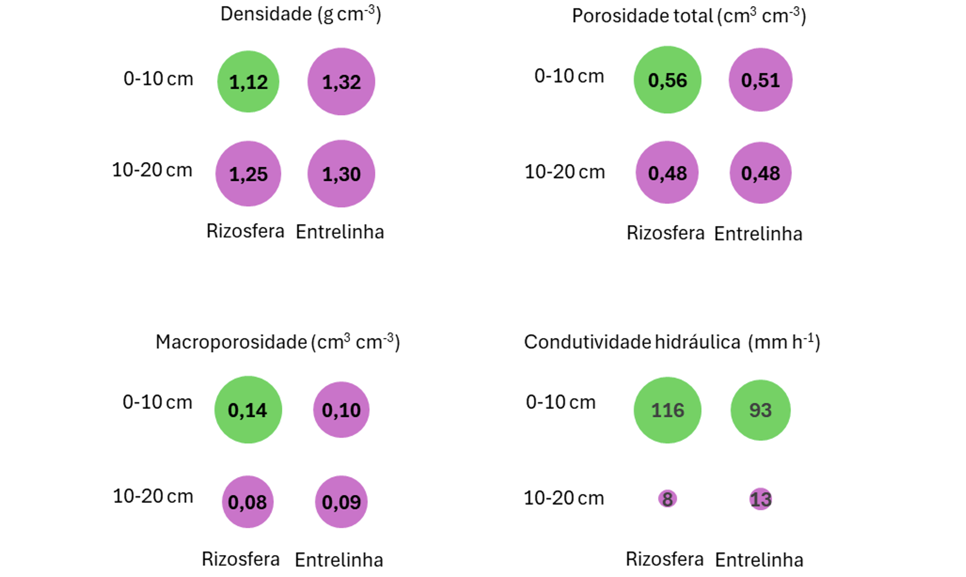 Figura 2. Valores médios das determinações feitas após colheita da soja (abril/2024), nas camadas de 0-10 cm e 10-20 cm e nas posições da rizosfera (ver Figura 1) e da entrelinha do milho colhido em abril/2023. Para cada variável, tratamentos com cores iguais não diferem estatisticamente entre si