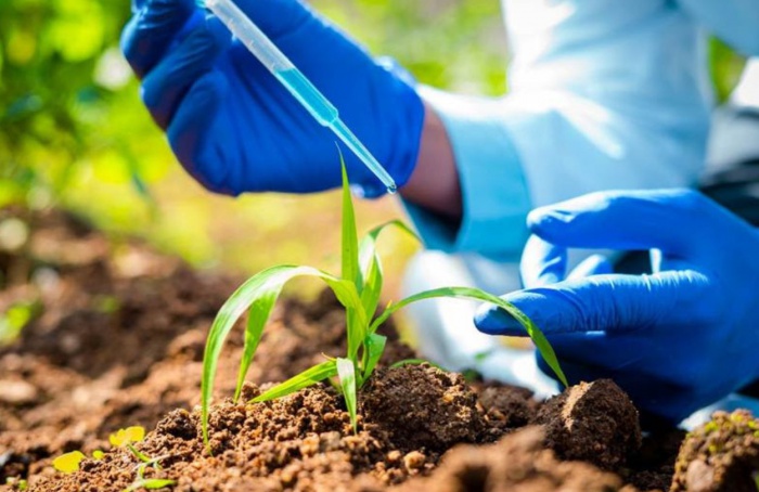 Brasil bate recorde de registros de insumos agrícolas em 2025